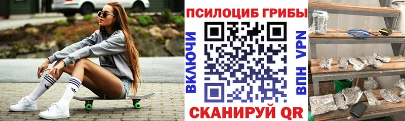 Псилоцибиновые грибы мицелий  закладки  omg ONION  Дзержинский 