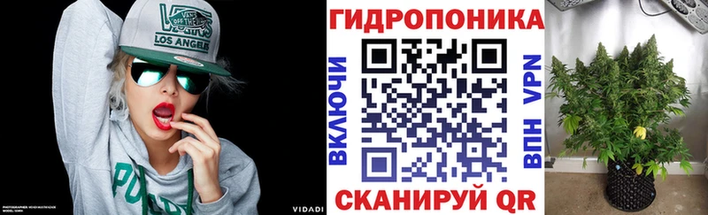 где купить наркотик  Дзержинский  Бошки марихуана ГИДРОПОН 